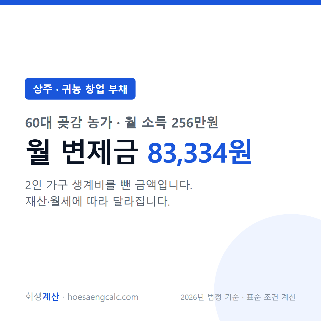 상주 귀농 창업 부채 사례 월 변제금 — 60대 곶감 농가 월 소득 256만원 기준