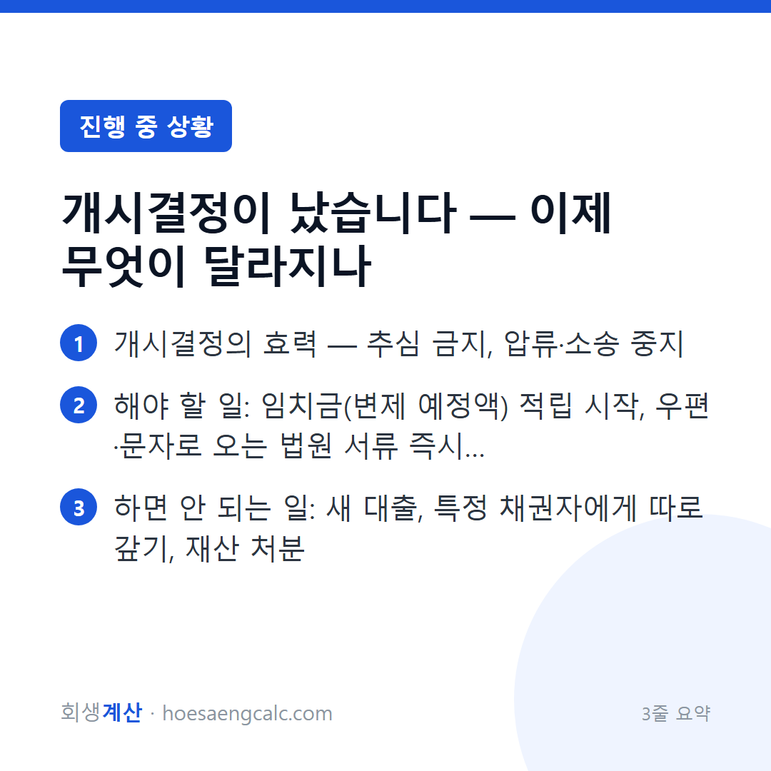 개시결정이 났습니다 — 이제 무엇이 달라지나 — 3줄 요약