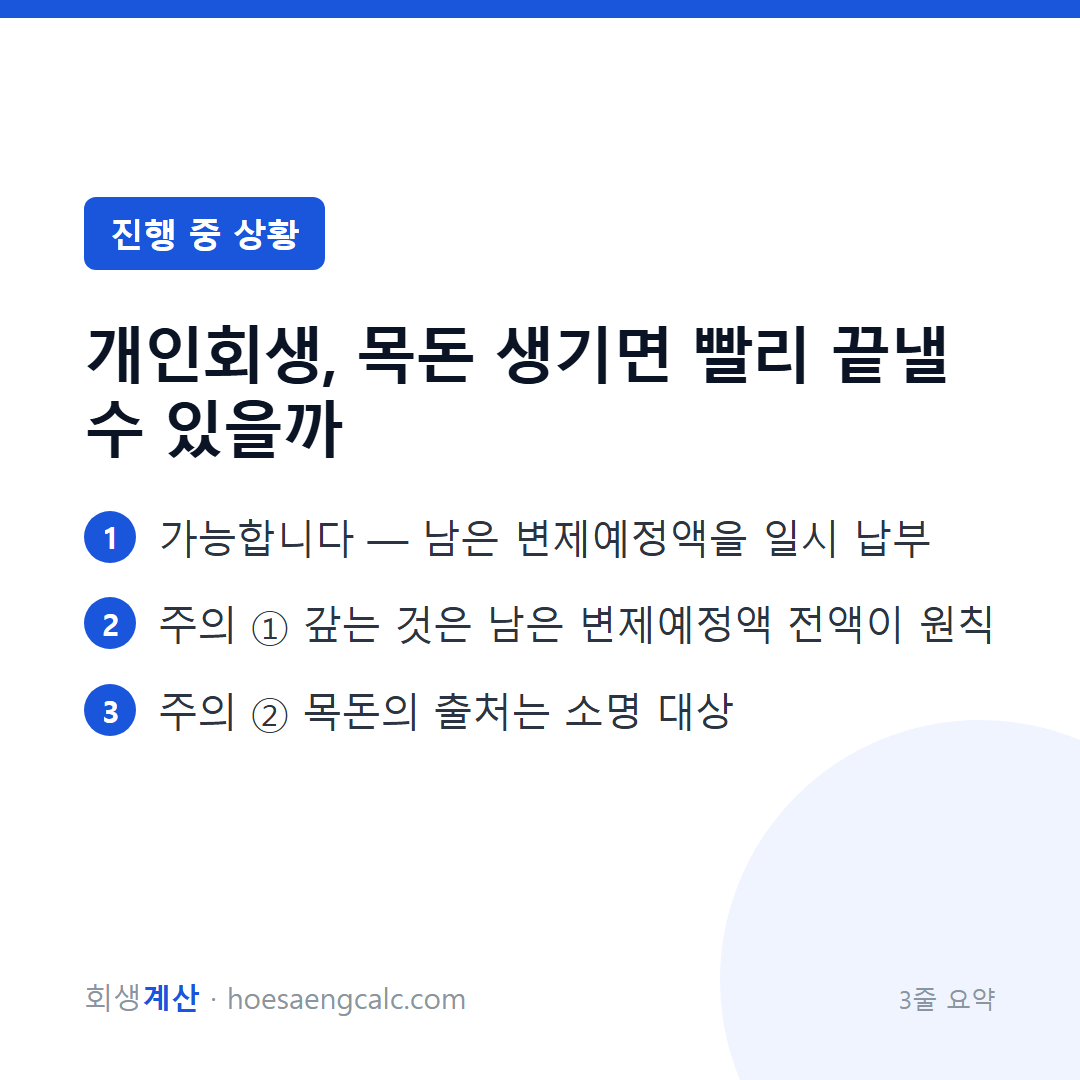 개인회생, 목돈 생기면 빨리 끝낼 수 있을까 — 3줄 요약